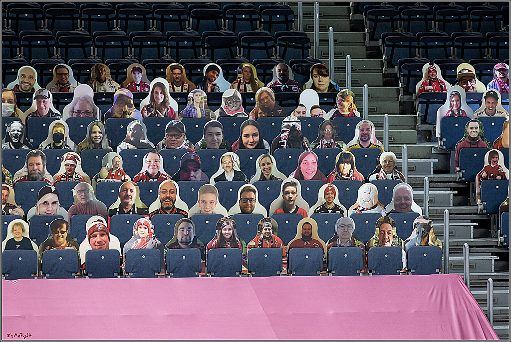 PENNY DEL;  Koelner Haie - Fischtown Pinguins Bremerhaven; Koeln, 12.02.2021